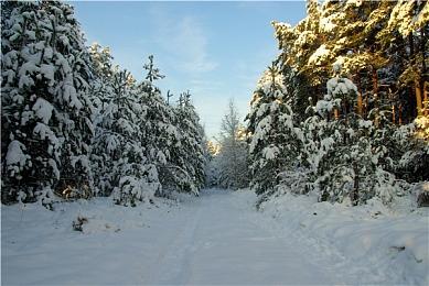 《星际战甲》现已提供简便可用的跨平台存档功能
