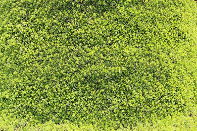 任天堂eShop泄露《尼克儿童频道全明星大乱斗》新角色