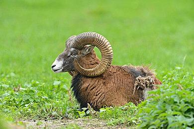 《星空》PC版优化堪忧 3060显卡1080P低画质未能稳定60FPS